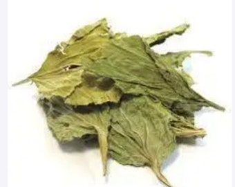 Plantain Leaf, c/s (Plantago lancoelata) | Plantain Leaf | Plantain Dried