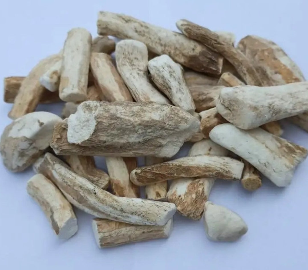 Organic Birch Root | Birch Root Tea | Tea Making | Betula Pendula ...