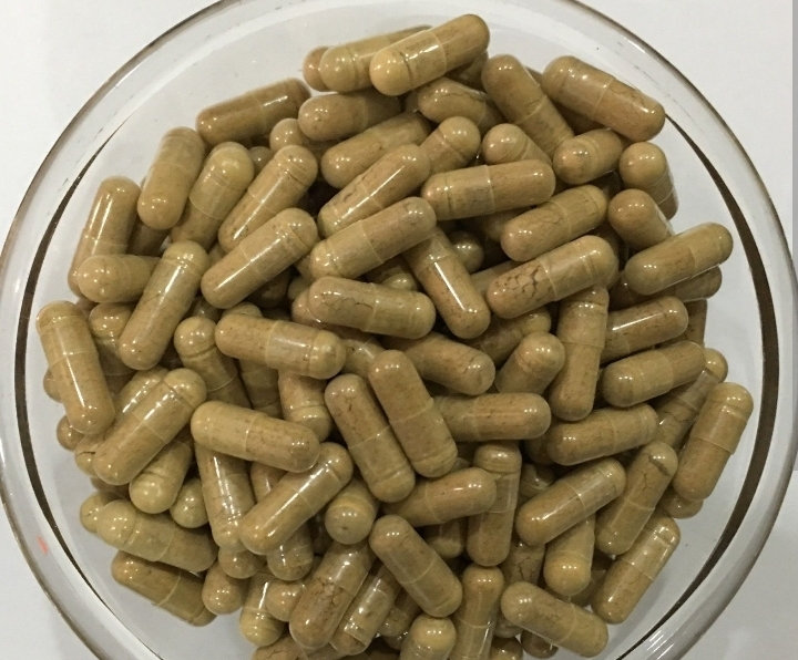 Löwenmähnenpilz Extrakt (Affenkopf vielsoom) 500 mg vegetarische Kapseln, frisch auf Bestellung hergestellt