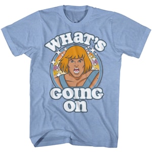 Masters Of The Universe What&#39;s Going On Light Blue Heather Adult T-Shirt