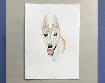 Original Pet Portrait Painting, Custom Watercolor Commission