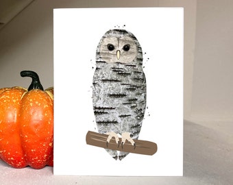 Owl Note Cards, Barred Owl Art Card