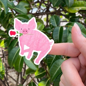Pig Sticker, Vinyl Decal, Piggy Stickers