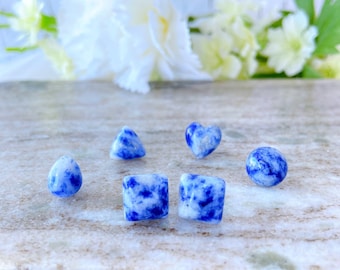 Lapis Lazuli Gemstone Blue Stone Hypoallergenic Surgical Steel Stud Earrings