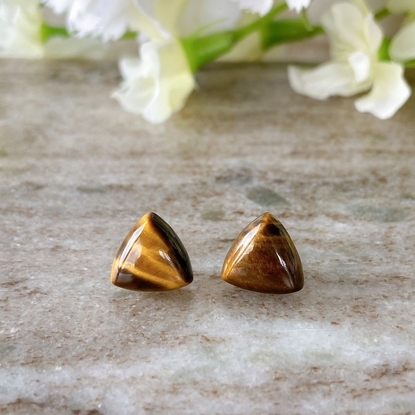 Tiger Eye Triangle Gemstone Hypoallergenic Surgical Steel Stud Earrings