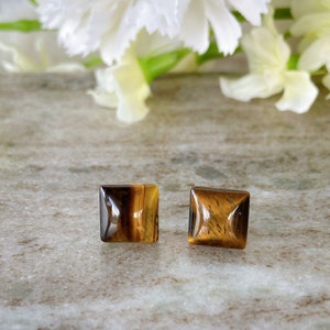 Tiger's Eye Square Gemstone Hypoallergenic Surgical Steel Stud Earrings