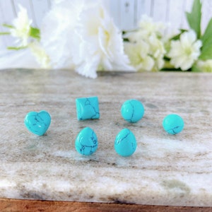Blue Turquoise Style Stone Hypoallergenic Surgical Steel Stud Earrings