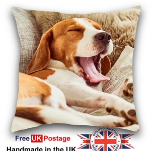 Personalised Pet Cushion, Picture Cushion, Design Your Own Cushion, Photo Pet Cushion