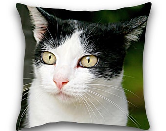 white cat pillow