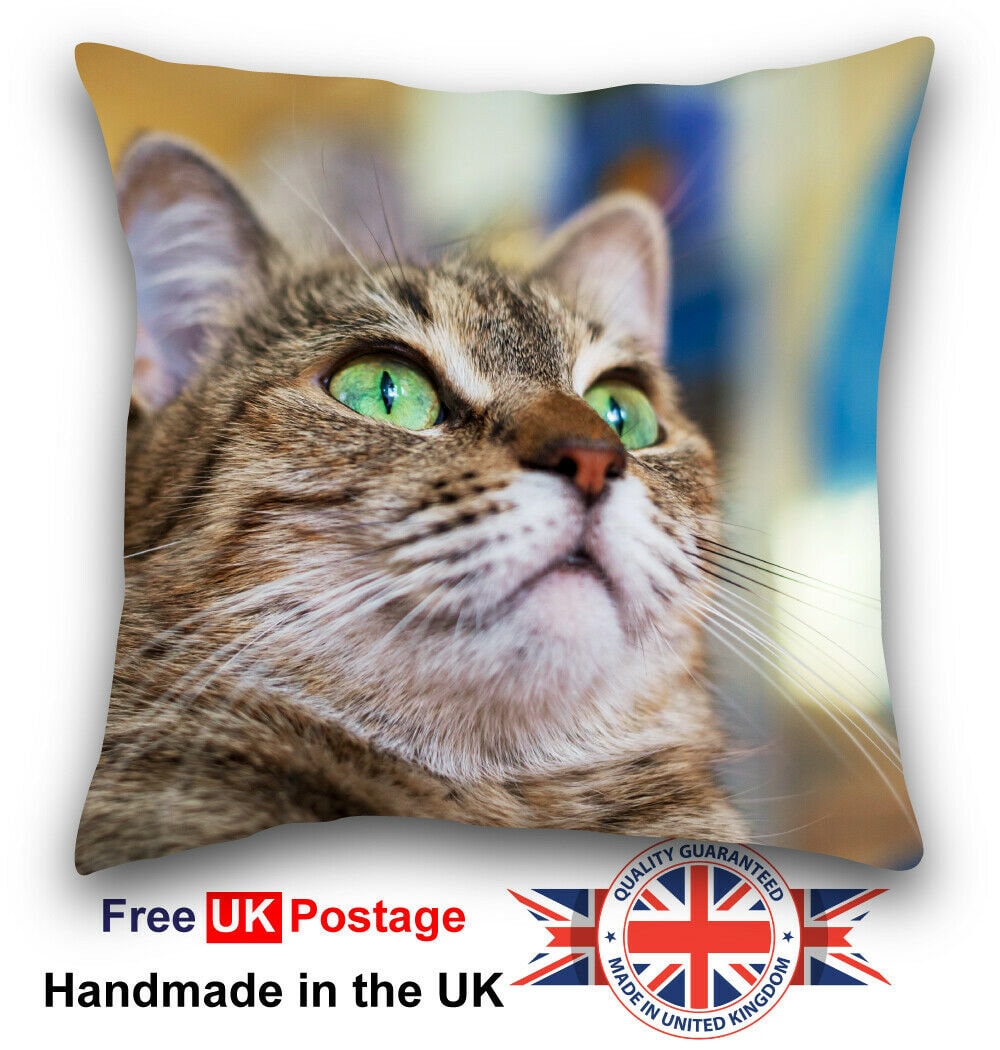 Personalised Pet Cushion Picture Cushion Design Your Own Etsy UK