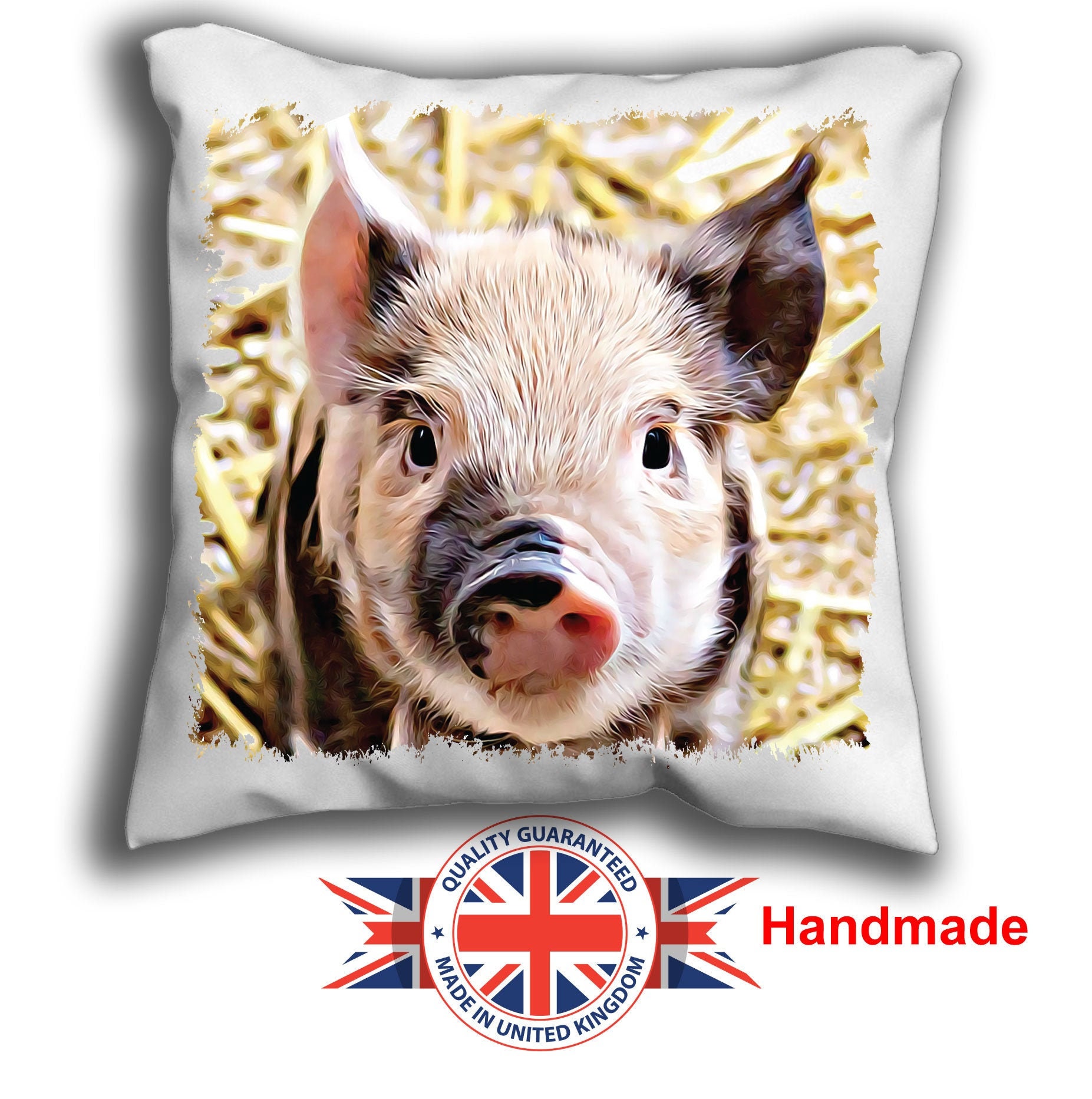 pig cushion