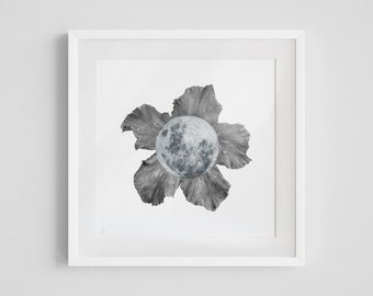 Moon Flower — Fine Art Print