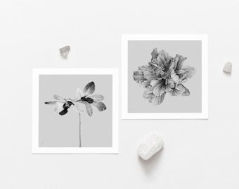 Graphite Petals — Hibiscus & Orchid — Mini Size Print Bundle  — Fine Art Print
