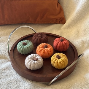 May include: A wooden serving tray holds six crocheted pumpkins in various colors: green, orange, brown, red-orange, yellow, and cream. Each pumpkin has a brown stem. The tray has a silver handle and sits on a cream-colored surface.