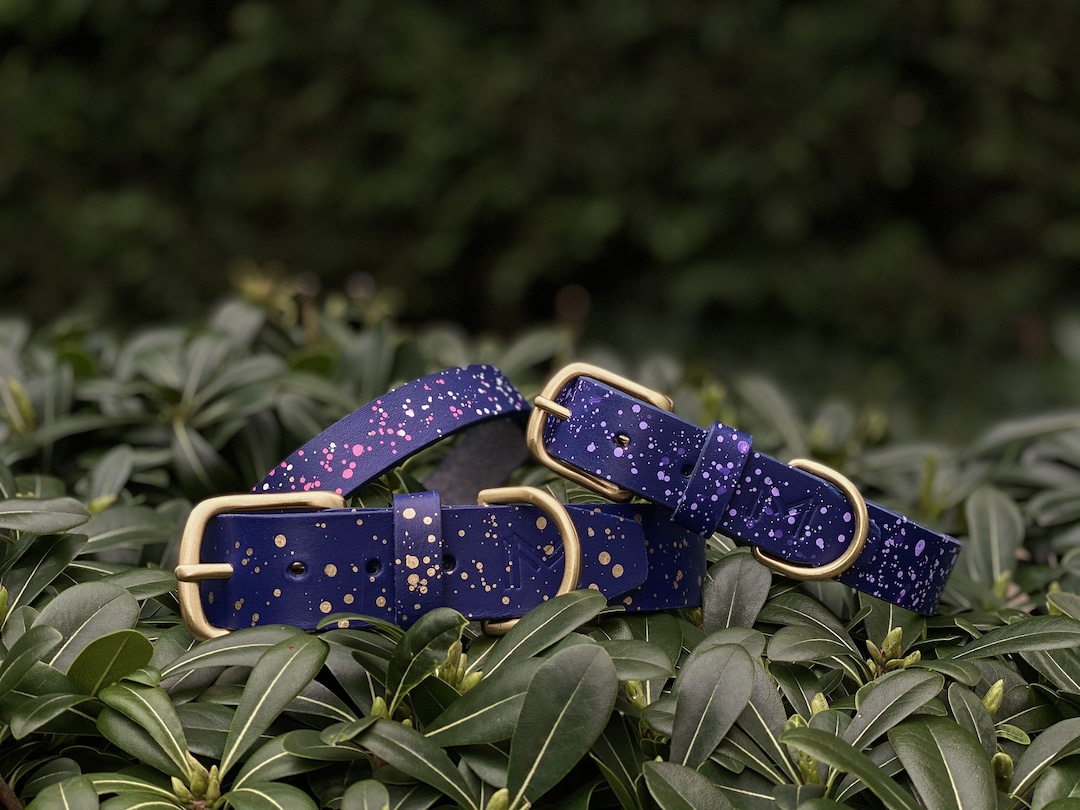 Personalized Dark Blue Leather Dog Collar Designer Dog Collar Leather ...