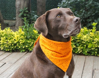 Dog Bandana | Cat Bandana | Eyelet Dog Bandana | Snap On Dog Bandana