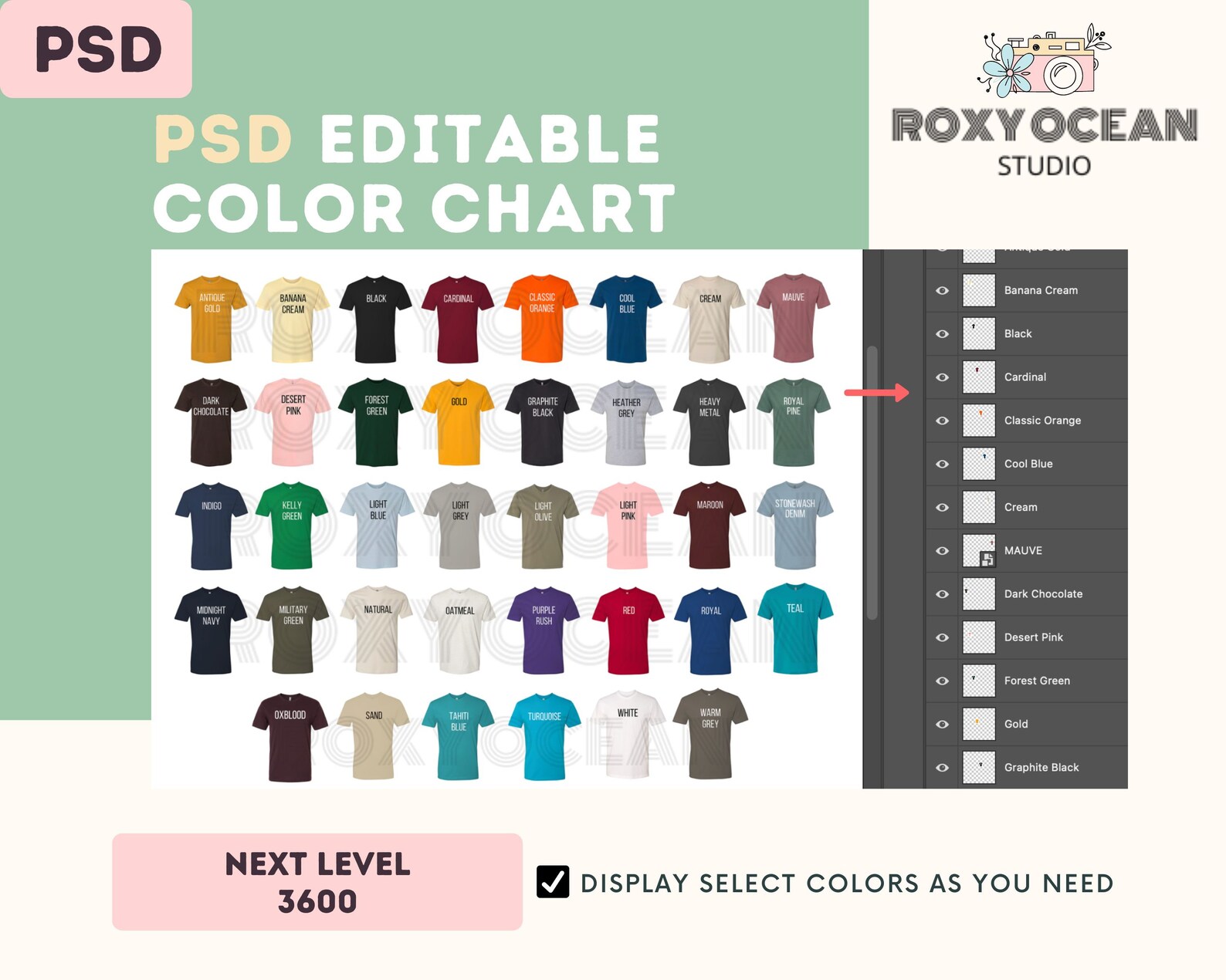 Next Level 3600 Color Size Chart EDITABLE Canva Template 3600 Unisex