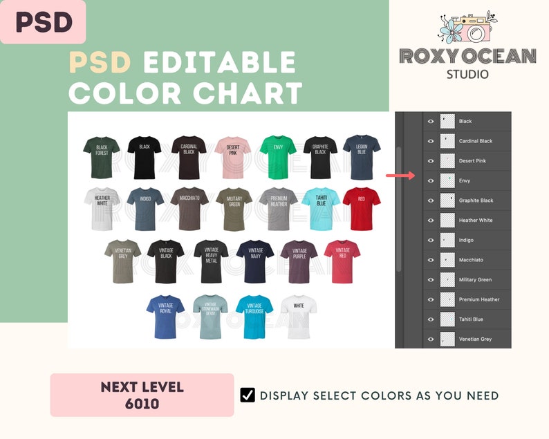 Next Level 6010 Color + Size Chart | EDITABLE Canva Template | 6010 ...