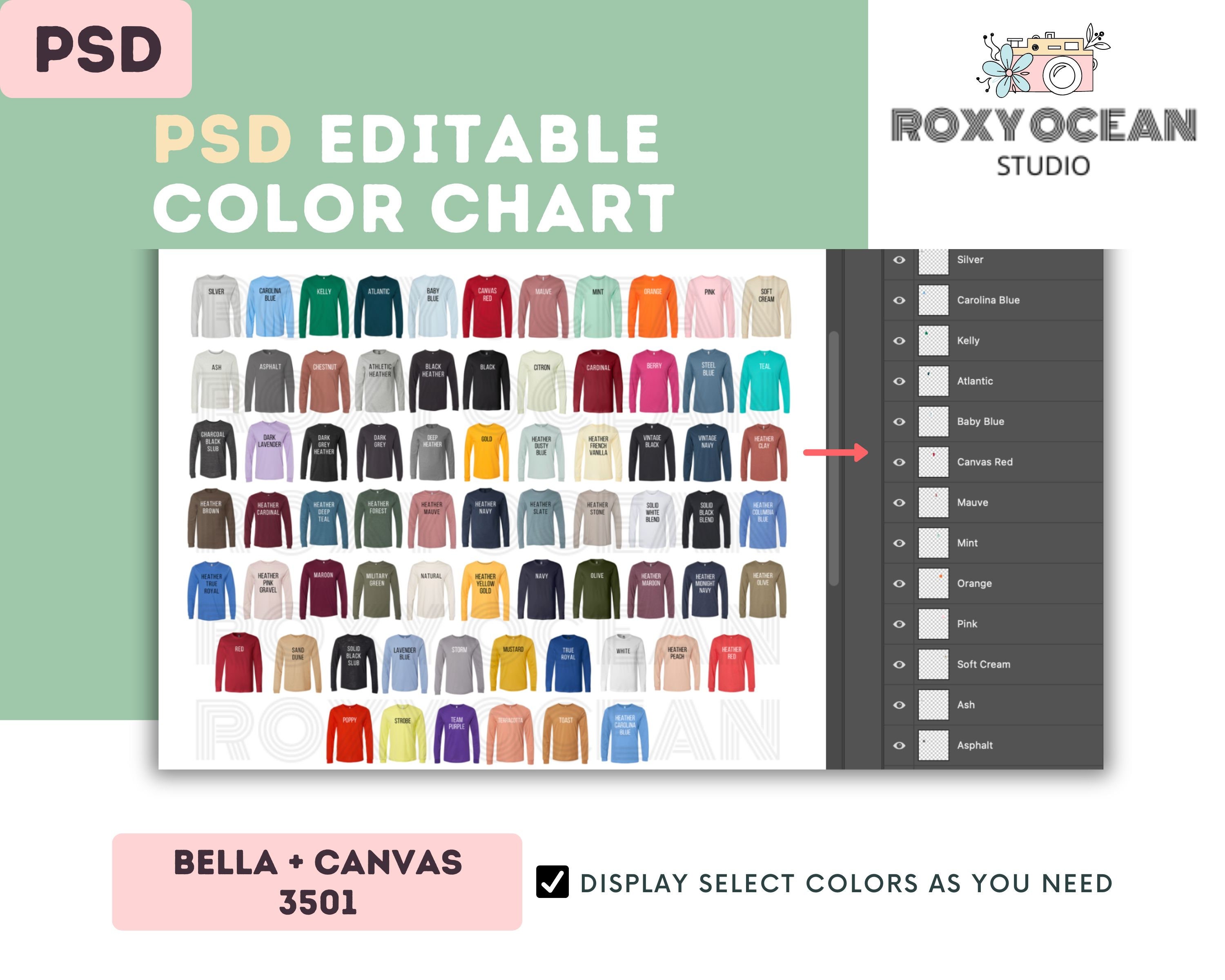 Bella Canvas 3501 Color Size Chart EDITABLE Canva Template 3501 Unisex