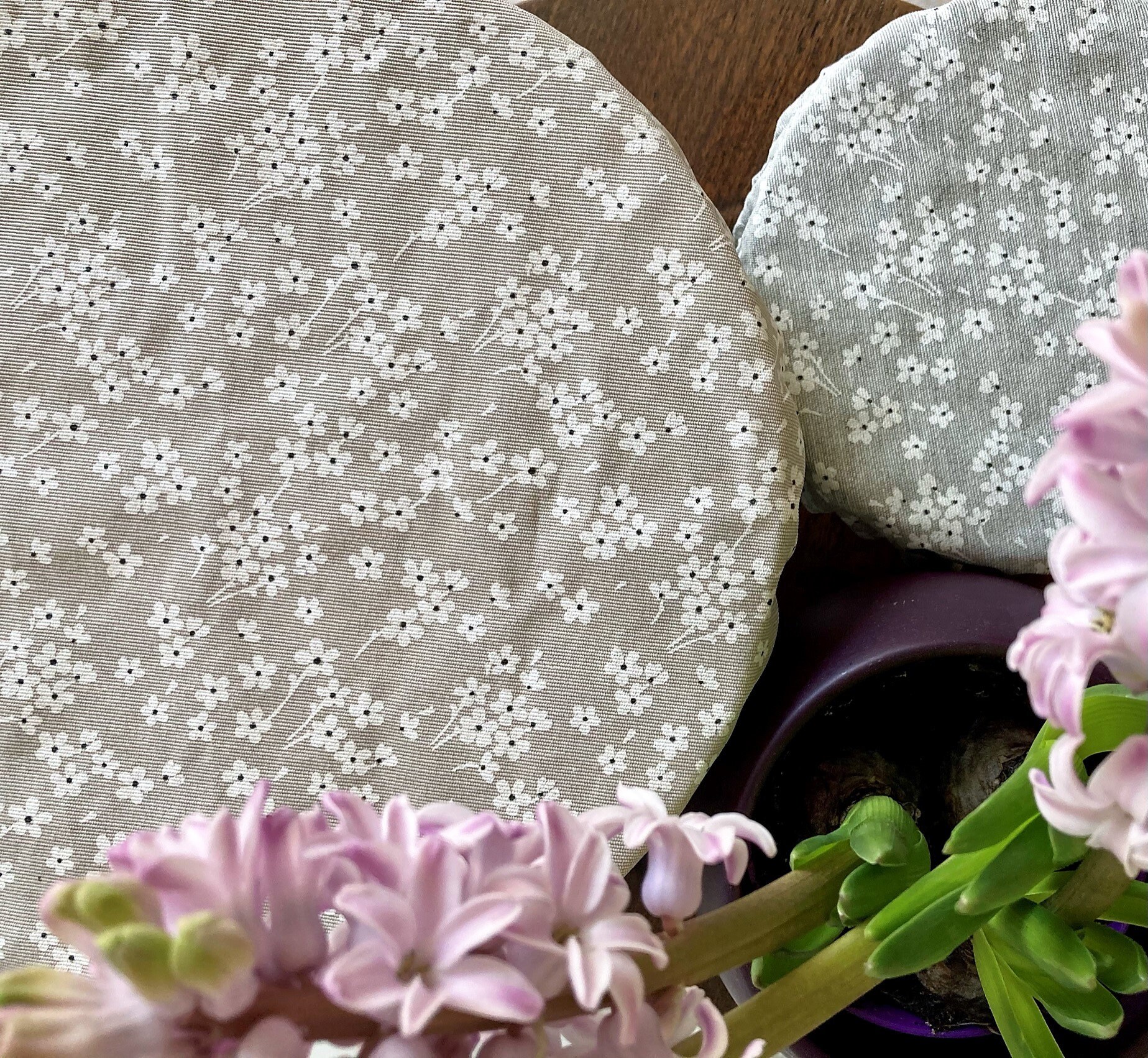 Charlotte Alimentaire/Couvre Plat Zéro Déchet