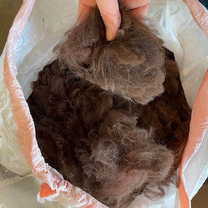 May include: A white plastic bag filled with brown animal fiber. The fiber is loose and fluffy, and a hand is holding a clump of it.