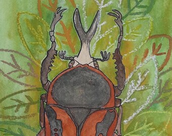 Megalorrhina harrisi