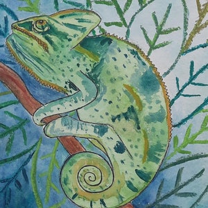 chameleon