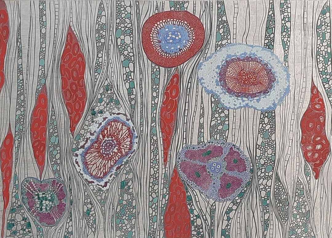 Cells - Etsy