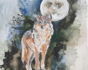wolf