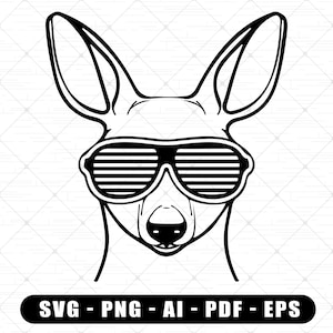 Kangaroo Face SVG, Cool Kangaroo SVG For Cricut , Canguro australiano con gafas Png, Kangaroo Clipart, Archivo digital, Camping Kangaroo Svg