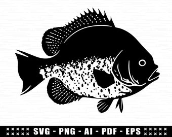 Crappie Fish SVG Design, Cricut Crappie SVG File, Easy Cut Fish Silhouette, Cute Crappie Fish Clipart Digital File, Fishing Lake Camping Svg