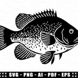 Crappie Fish SVG, Cricut Crappie SVG Design File, Easy Cut Fish Silhouette, Cute Crappie Fish Clipart Digital File, Fishing Lake Camping Svg