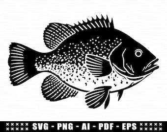 Crappie Fish SVG, Cricut Crappie SVG Design File, Easy Cut Fish Silhouette, Cute Crappie Fish Clipart Digital File, Fishing Lake Camping Svg