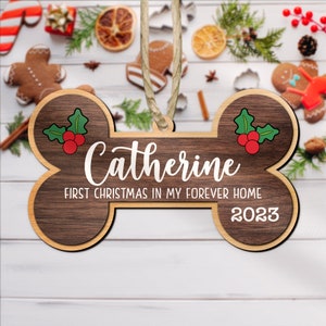 Personalisierte Weihnachten Hundeknochen Stocking Tags / Ornament, Weihnachtsgeschenkanhänger, benutzerdefinierte Holznamensschilder gemalt, Weihnachtsverzierung mit Jahr