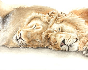 A4 Giclée Lion Print - 'Brothers'