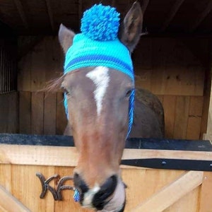 Crochet Horse Hat PATTERN ONLY image 3