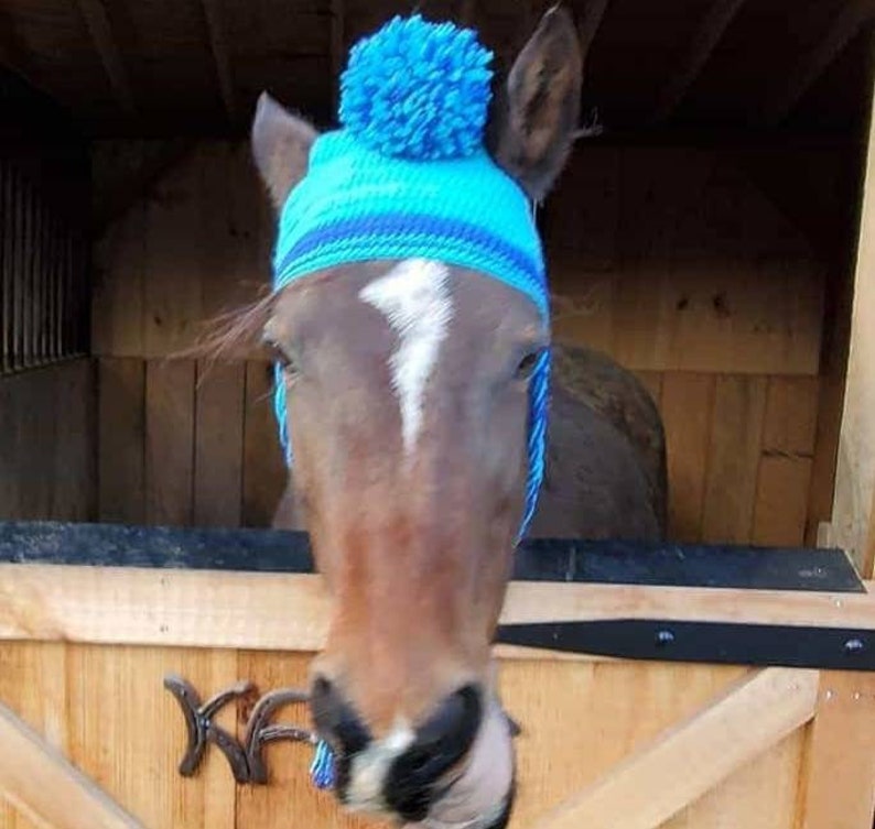 Crochet Horse Hat PATTERN ONLY image 3