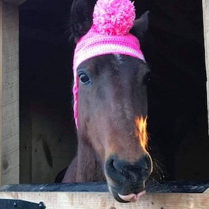 Crochet Horse Hat PATTERN ONLY image 2