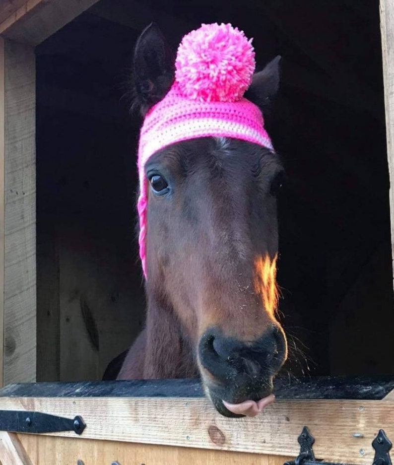 Crochet Horse Hat PATTERN ONLY image 2