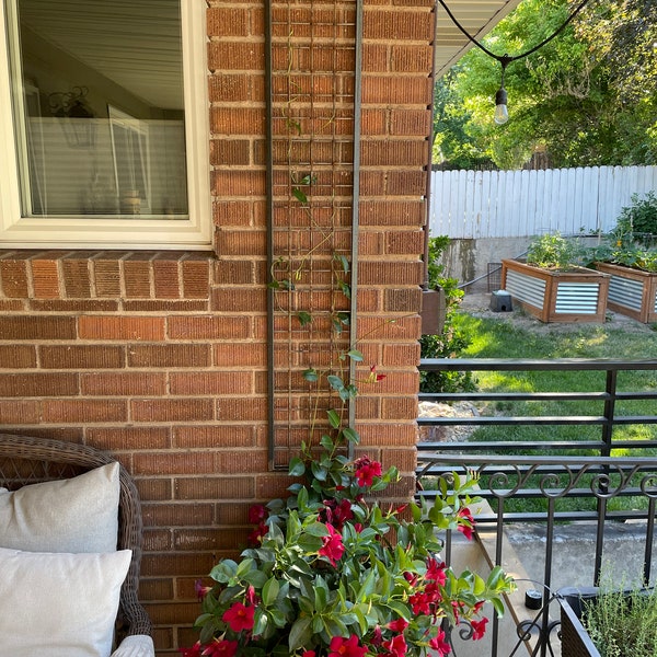 Metal Trellis Etsy
