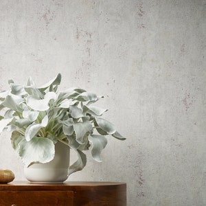 Uni wallpaper in concrete look | Non-woven wallpaper grey red | Industrial Style | Plaster look | Bedroom- living room wallpaper | 10.05 x 0.53 m