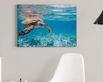 Leinwandbild Schildkröte | Meer | blau | Traveling Turtl | Leinwand auf Keilrahmen | Wandbild | Dekobild | 70 cm x 50 cm