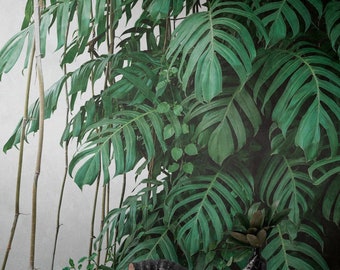 Mural Floral | Palm leaves | Jungle wallpaper | Non-woven wallpaper green | Wallpaper Monstera | Wallpaper living room bedroom| 3.71 m x 2.8 m