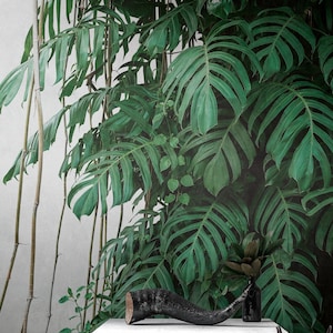 Wet monstera plant leaves mobile wallpaper Stock Photo by Rawpixel