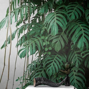 Mural Floral | Palm leaves | Jungle wallpaper | Non-woven wallpaper green | Wallpaper Monstera | Wallpaper living room bedroom| 3.71 m x 2.8 m