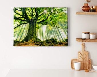 Murales Bosque | Naturaleza | | marrón verde | imagen en lienzo Lienzo en el marco de la camilla | | decorativas 70 cm x 50 cm