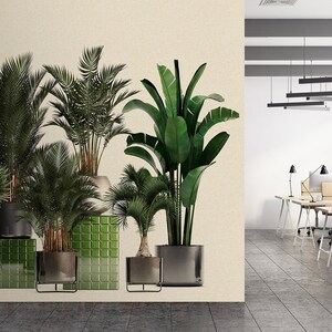 Palme murali Verde Beige | Sfondo Piante naturali | Palment - sfondo | Camera da letto, cucina, corridoio, ufficio e soggiorno sfondi | 4.00mx2,70m