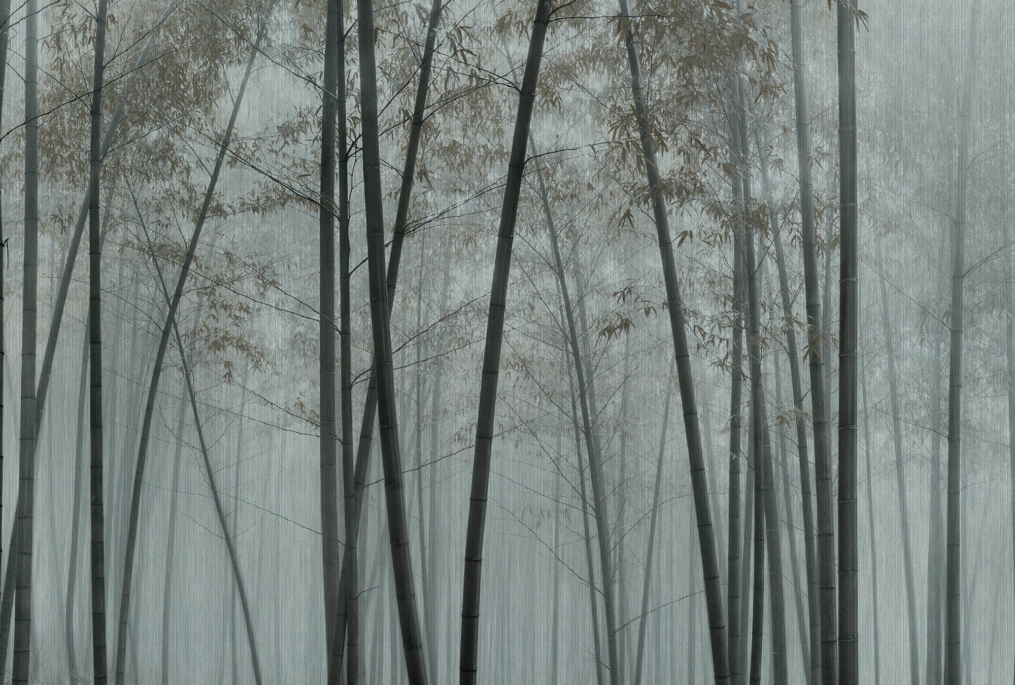 Mural Grey Black Bamboo Wallpaper Jungle Rainforest - Etsy Hong Kong Mural Grey Black Bamboo Wallpaper Jungle Rainforest - Etsy Hong Kong