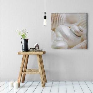 Canvas Print Shells | beach sea | Beige White | canvas on stretcher | Mural | Deco image | 50cm x 50cm