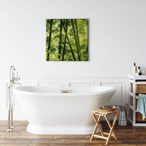 Canvas Painting Bamboo | Nature | Green | Canvas on stretcher frame | Mural | Decorative picture | 50 cm x 50 cm
